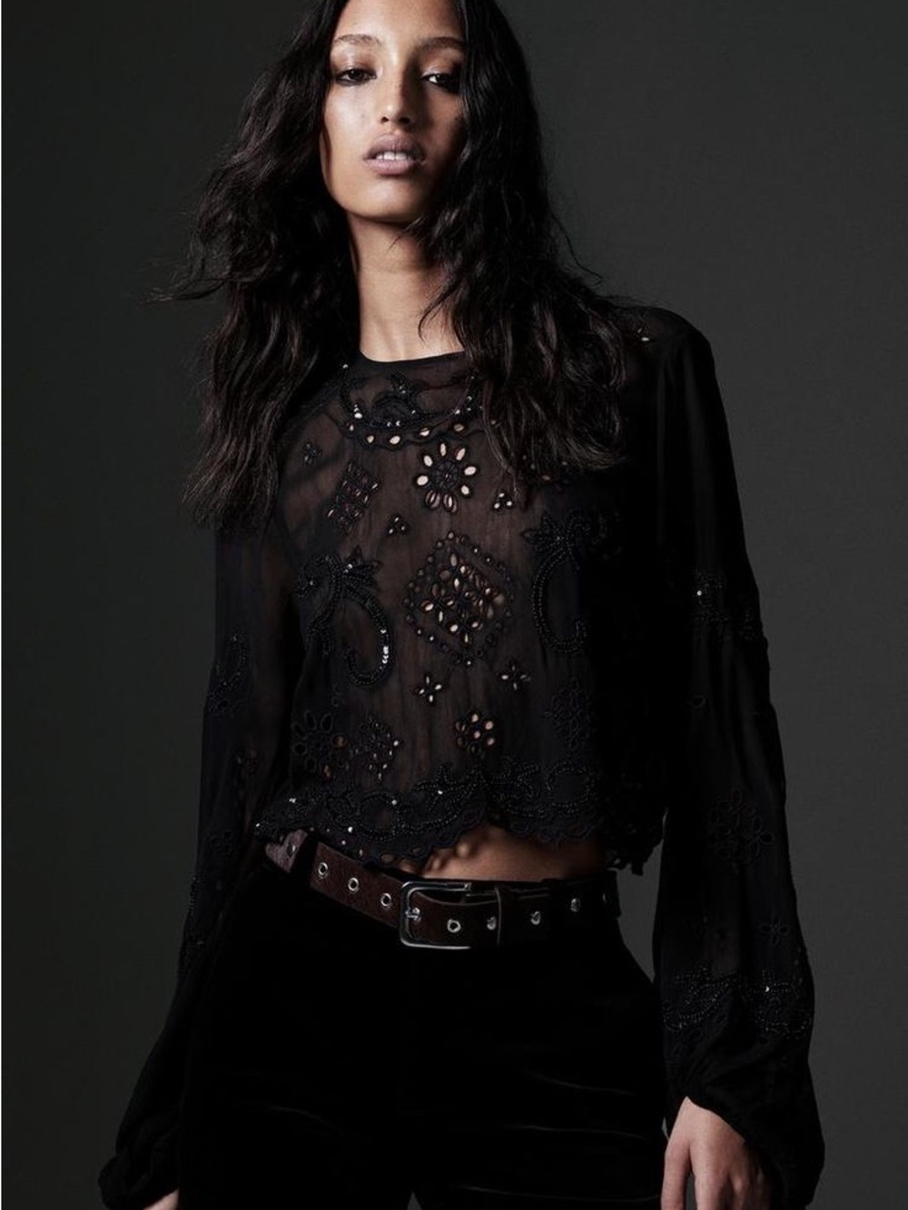 ZARA SEQUIN EMBROIDERY BLOUSE ZW COLLECTION